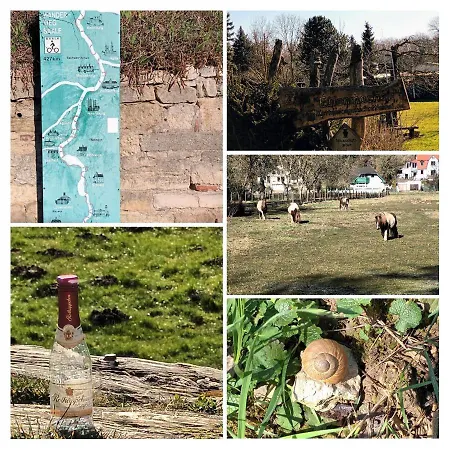 Naumburgliebe * Naumburg