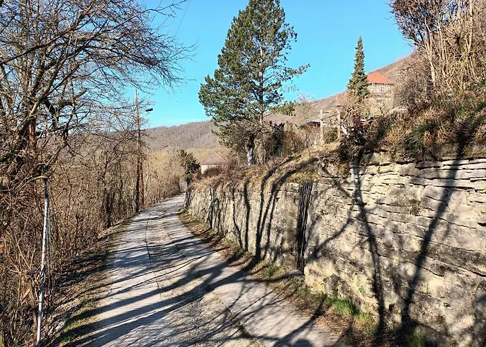 Naumburgliebe Apartman *