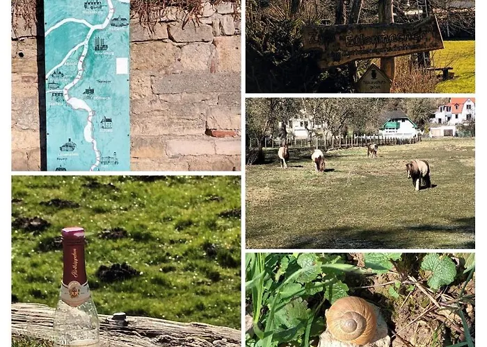 Naumburgliebe * Naumburg